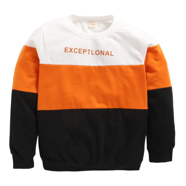 Світшот Exceptlonal